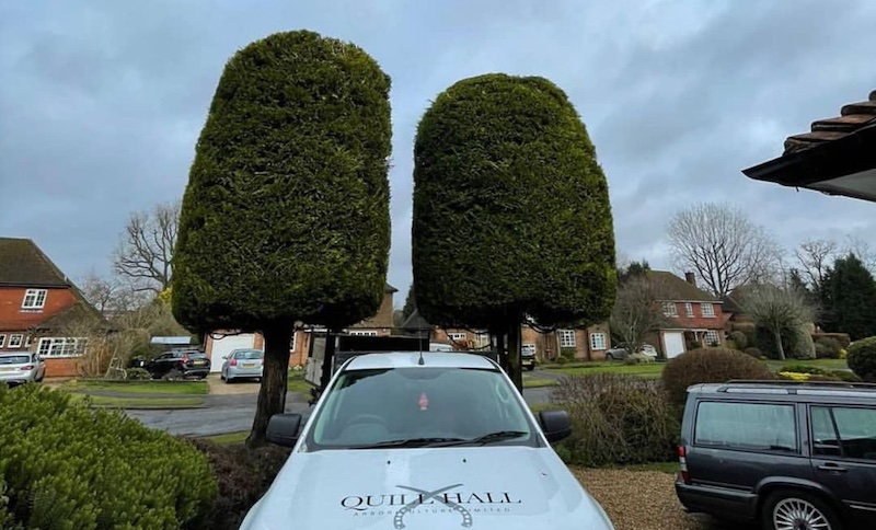Quill Hall tipper van in front of two hall recently-pruned hedges